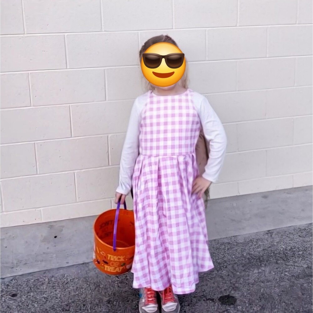 Girls Pink Gingham Dress Costume Size 7-8Y Barbie Goldilocks Farm Girl